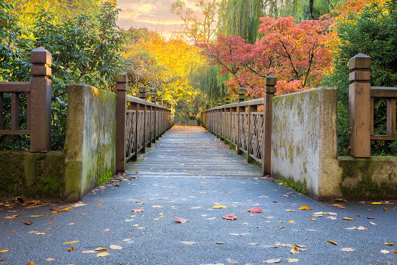 Autumn footbridge in Woodstock, Portland